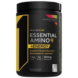 Rule One Proteins R1 Essential Amino 9 +Energy